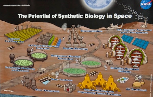 potential of syn biol in space